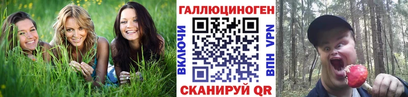 Псилоцибиновые грибы мухоморы  даркнет сайт  Валуйки 