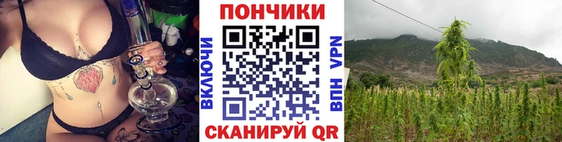 наркотики  Валуйки  МАРИХУАНА Amnesia 
